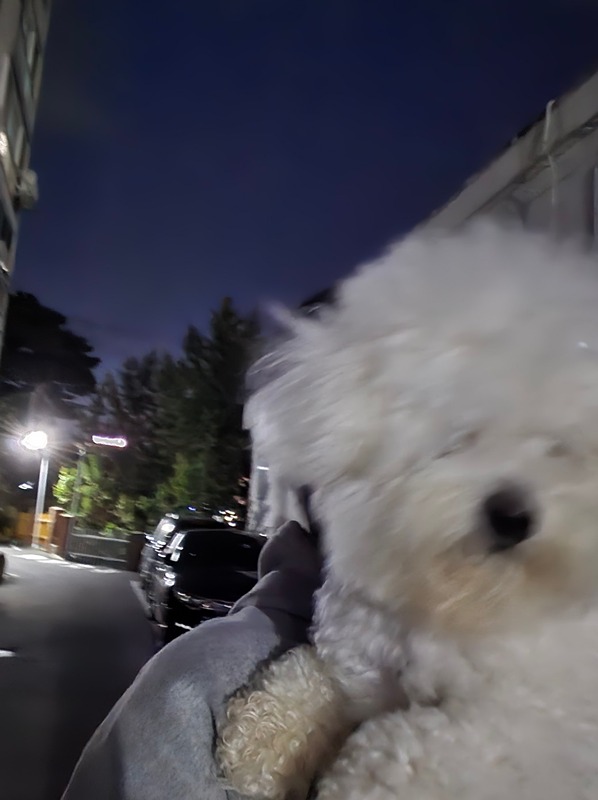 태화동 올림푸스 (동네친구) 썸네일