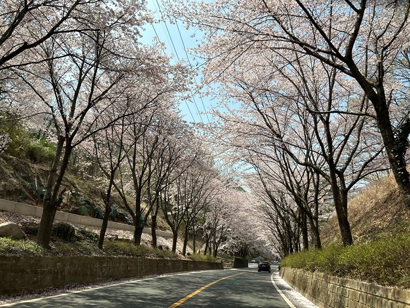 살빼자 운동하면서 모임 썸네일