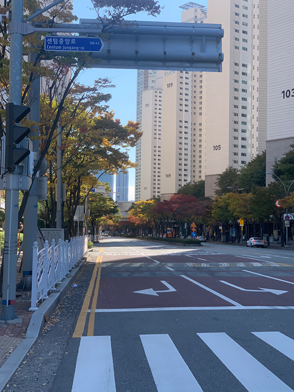 🍻해운대 3040 쓰레빠 신고 다 모여 썸네일