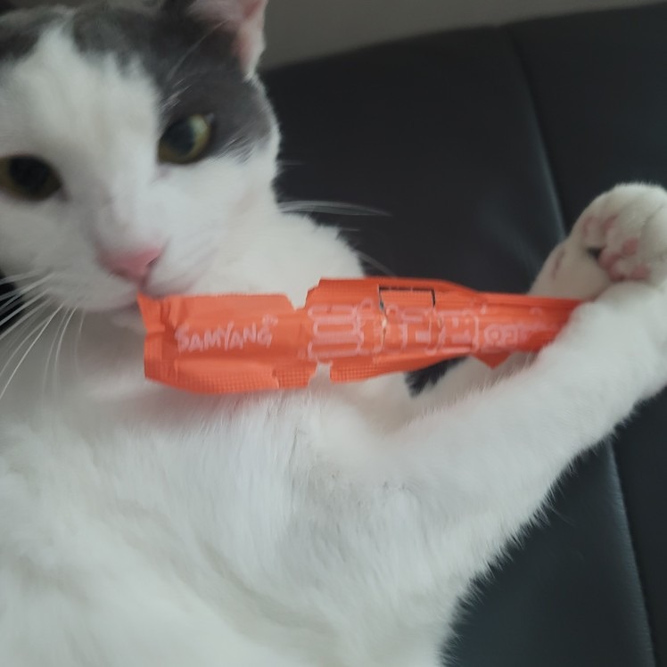 고양이집사모임🐱 썸네일