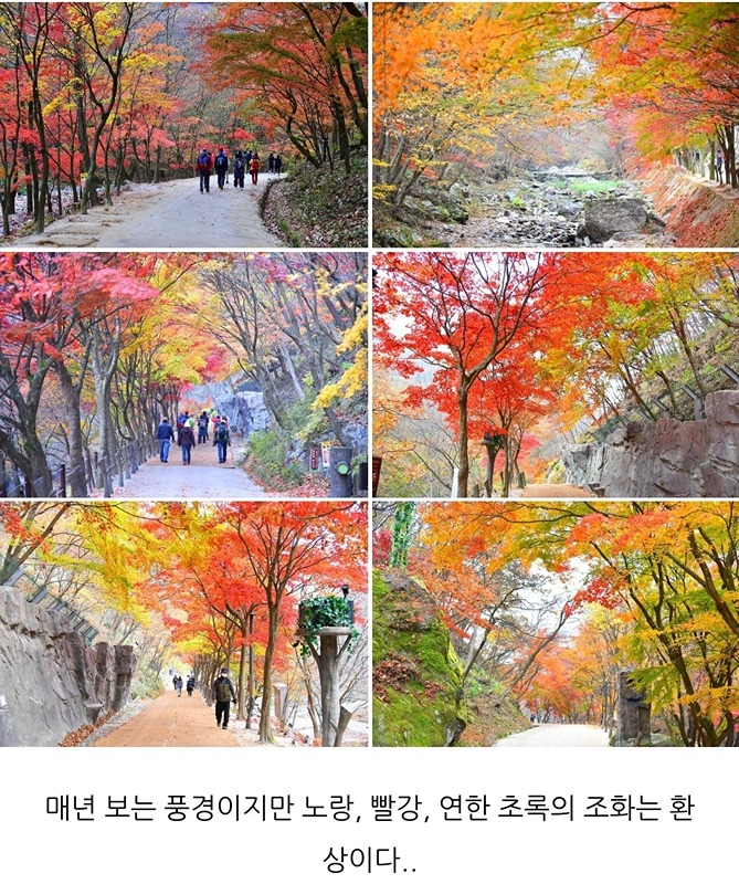 자사모산악회(자연을사랑하는 등산모임) 썸네일