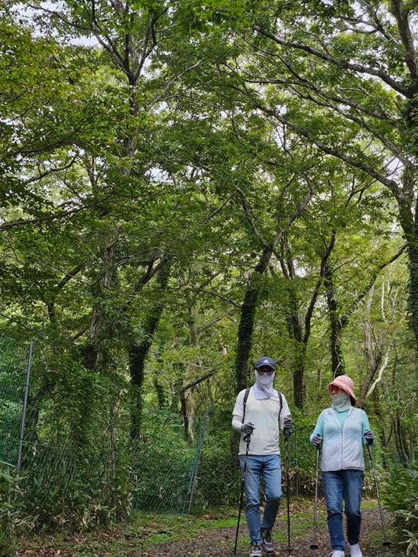 제주 숲길, 오름, 올레길 걷기 모임 썸네일