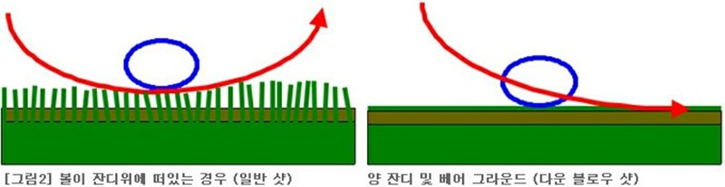 당근골프