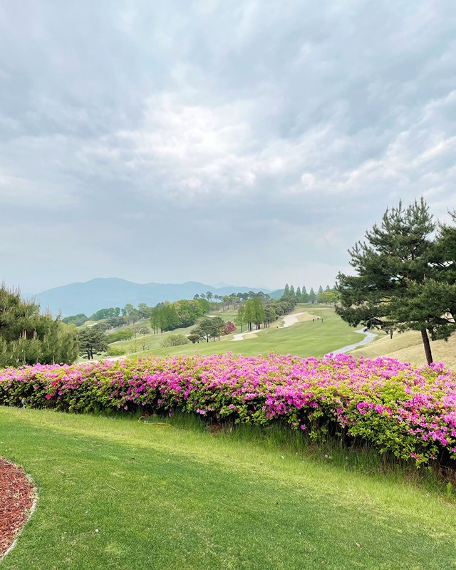 여성 골프 모임 ⛳️ 썸네일