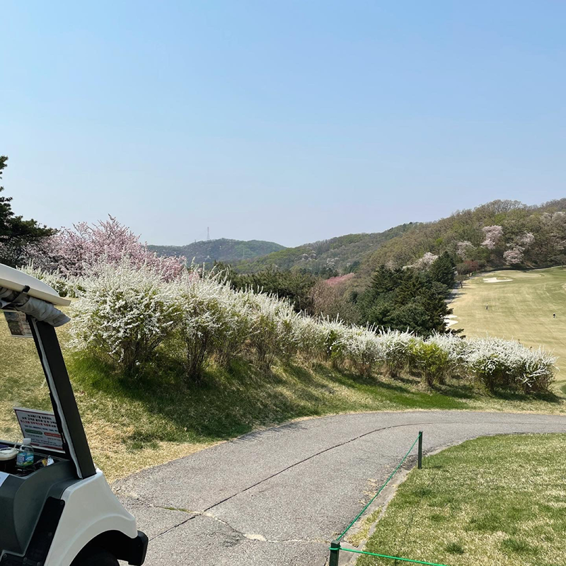 여성 골프 모임 ⛳️