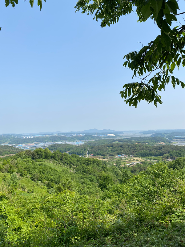 성연등산모임 썸네일