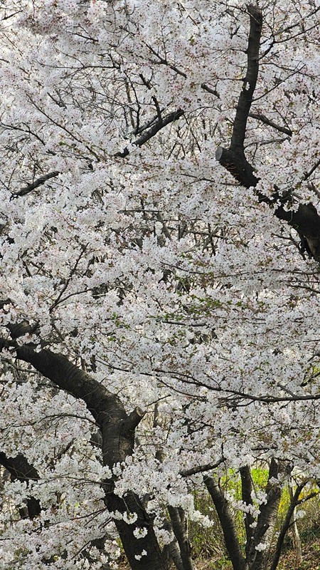 앞산같이가요 썸네일