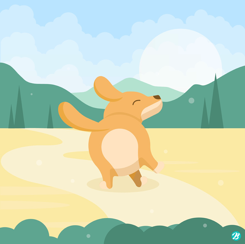 강아지 산책! 함께 🐶 썸네일