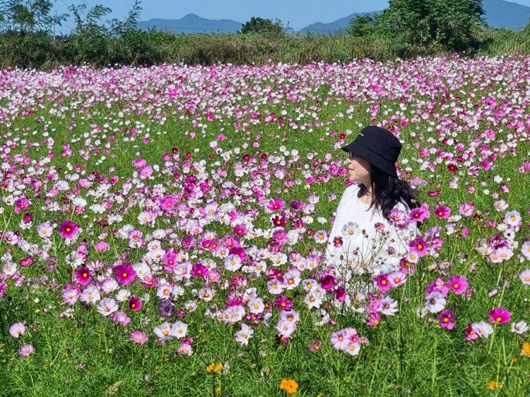 산으로 썸네일