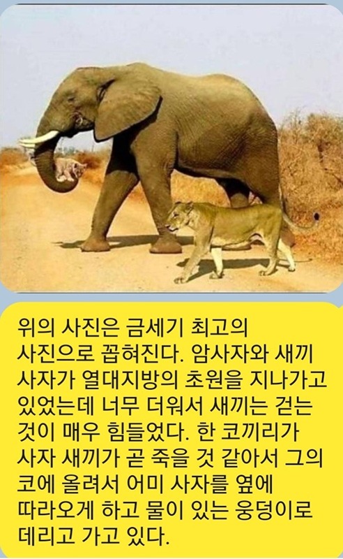 뚜벅이 썸네일