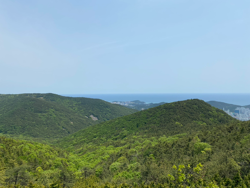 금정구 등산 모임 썸네일