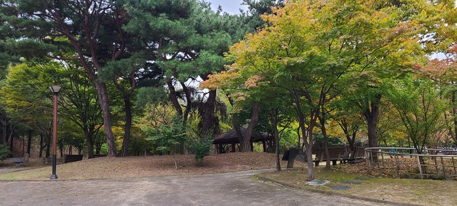 날씨가 시원하네요 썸네일
