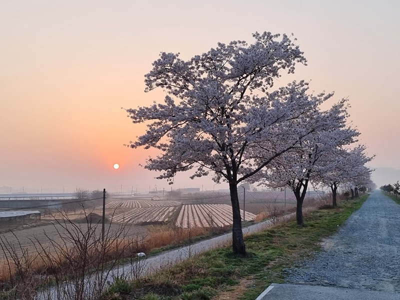 금호강변 걷기모임 썸네일