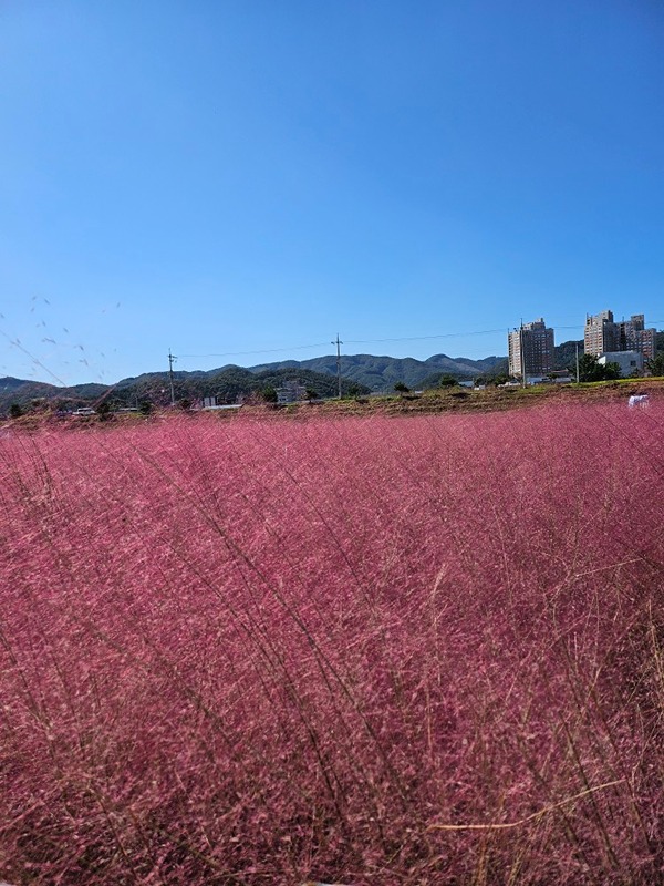전문인 청능사 썸네일