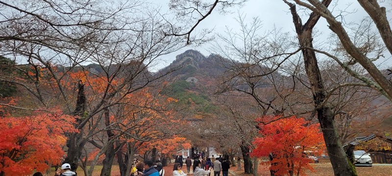 매월 3째주 산악회  일요일