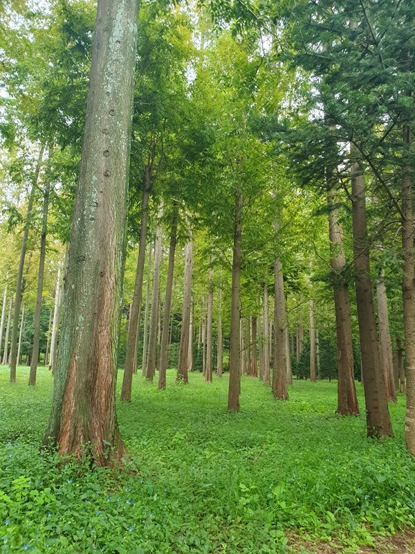 대구동네친구 썸네일