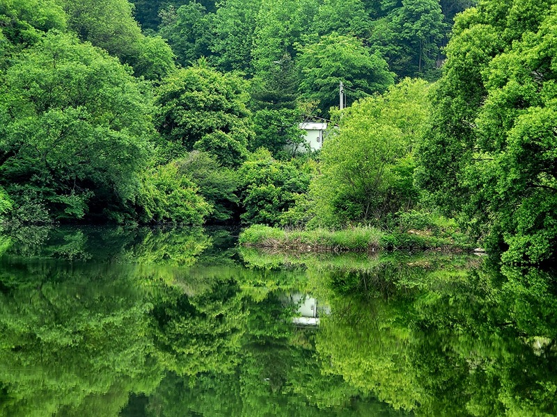 기린봉 산행 썸네일