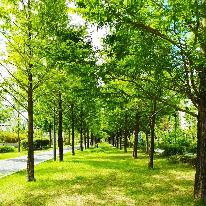 🌴세종 근처 산,  🚲 자전거, 🍹힐링 썸네일