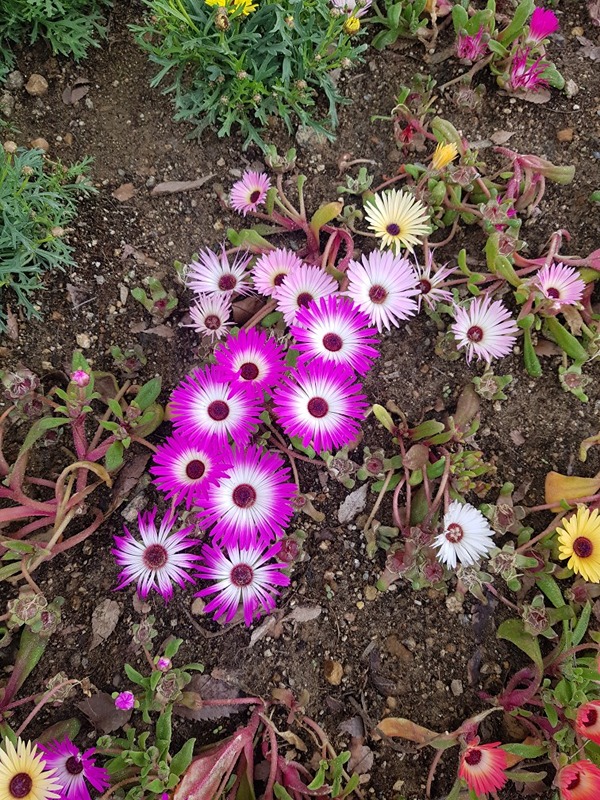 인천 보트낚시 동호회(보낙동) 썸네일