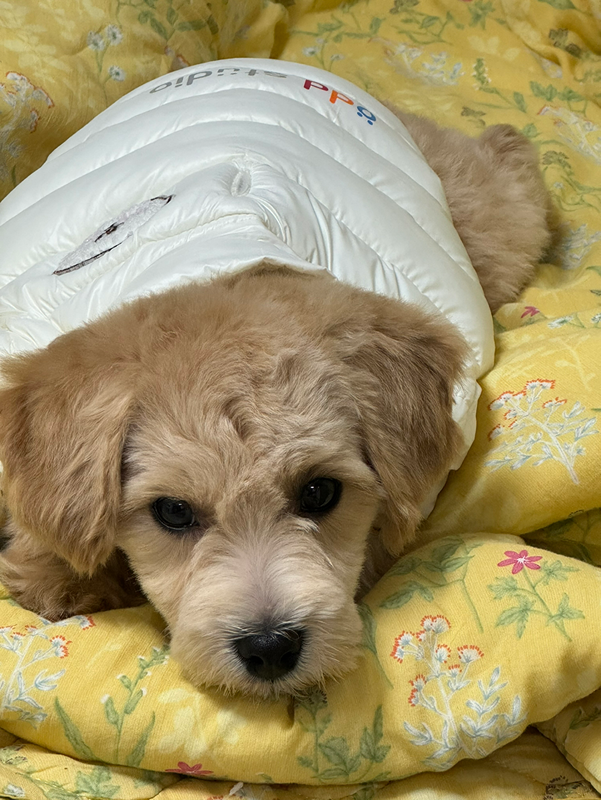 한남대 운동장 모임 썸네일