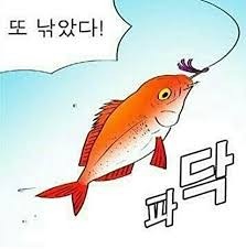 울산 낚시모임 썸네일