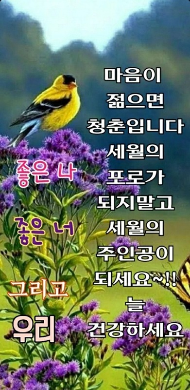 나는 누굴까? 썸네일