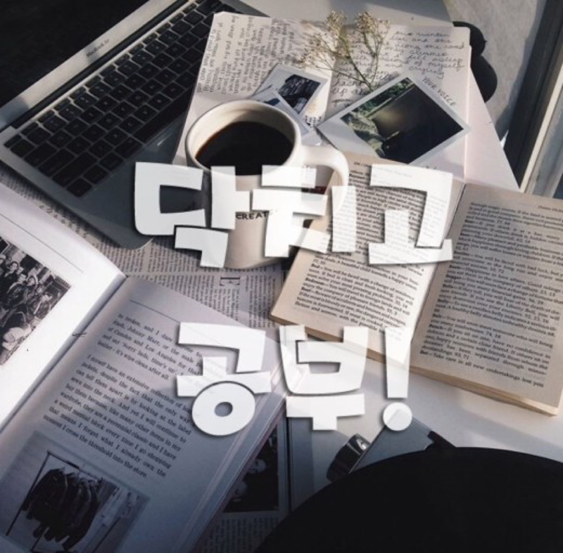 서구 스터디 구해요! 썸네일