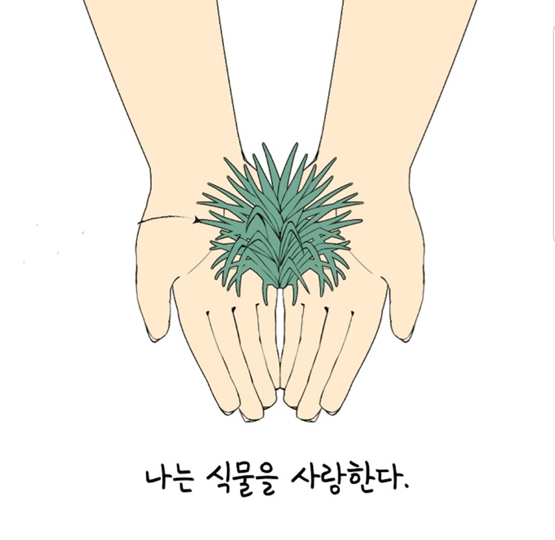 식집사들 모여라~🌷🌱🌿 썸네일