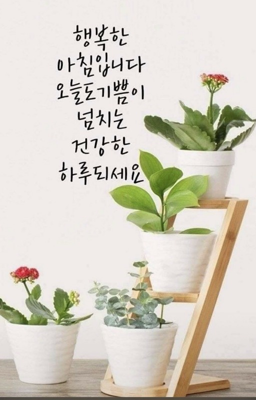 50대~60까지 썸네일