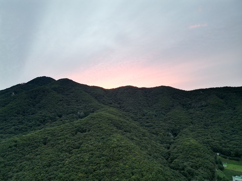 사진 공유 썸네일