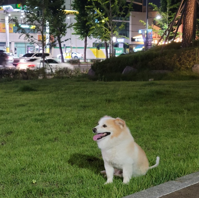 오지라퍼들 썸네일