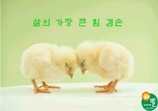 사랑방처럼 놀러오실분^^