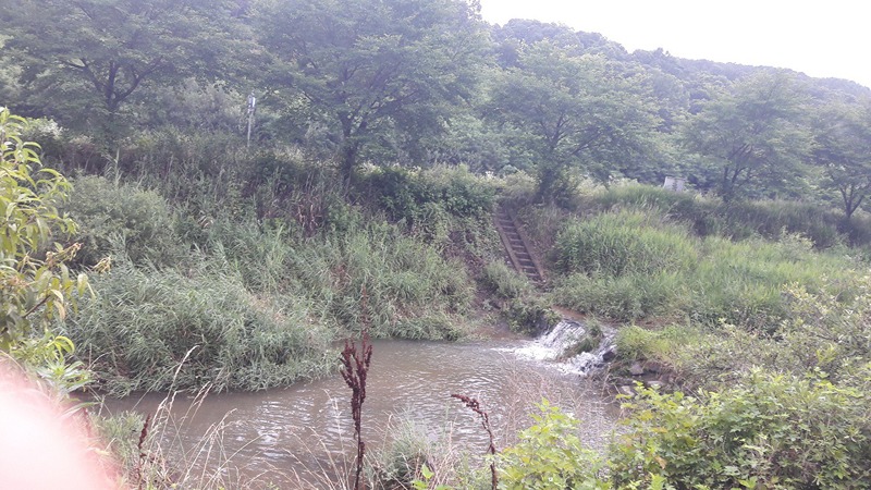 코압등산 ��썸네일