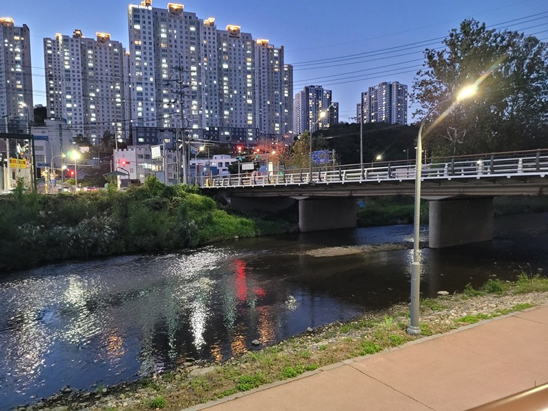 영통 걷기/러닝/자전거 함께해요 썸네일