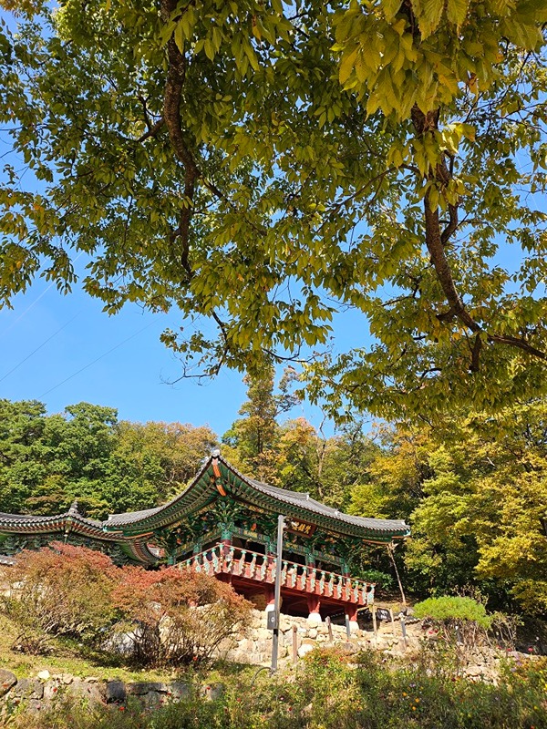 동춘동 연수동 롤러.걷기.등산.점심.수다 썸네일