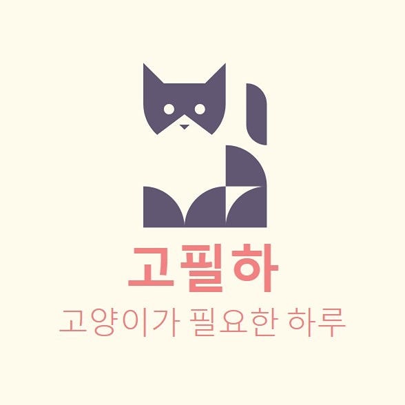고필하(고양이가 필요한 하루) 썸네일