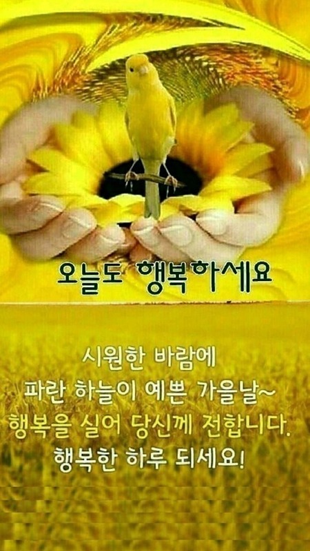 창2동 배드민턴 썸네일