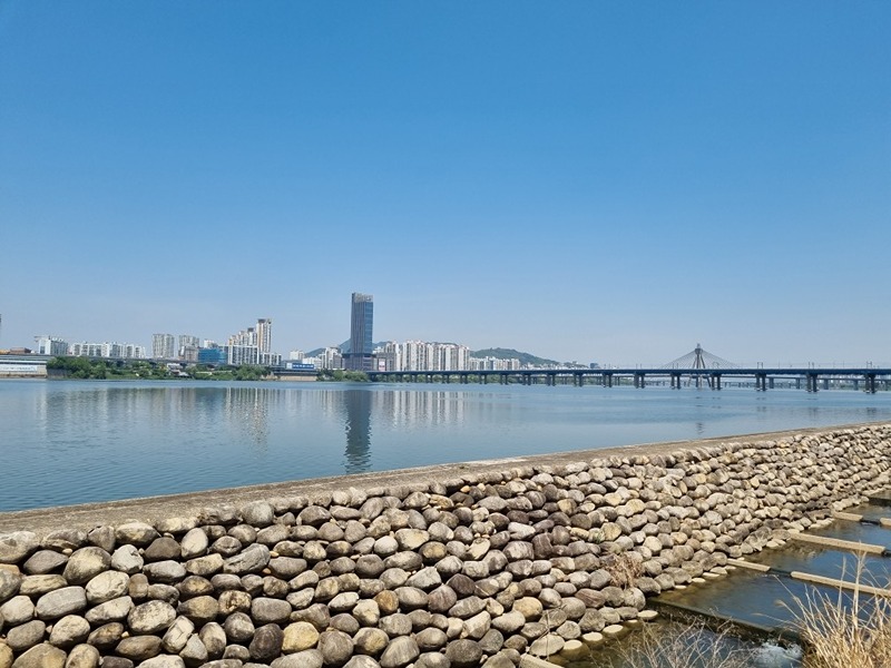 한강플로킹 뚝섬🌞여의도🌝청계천🌈