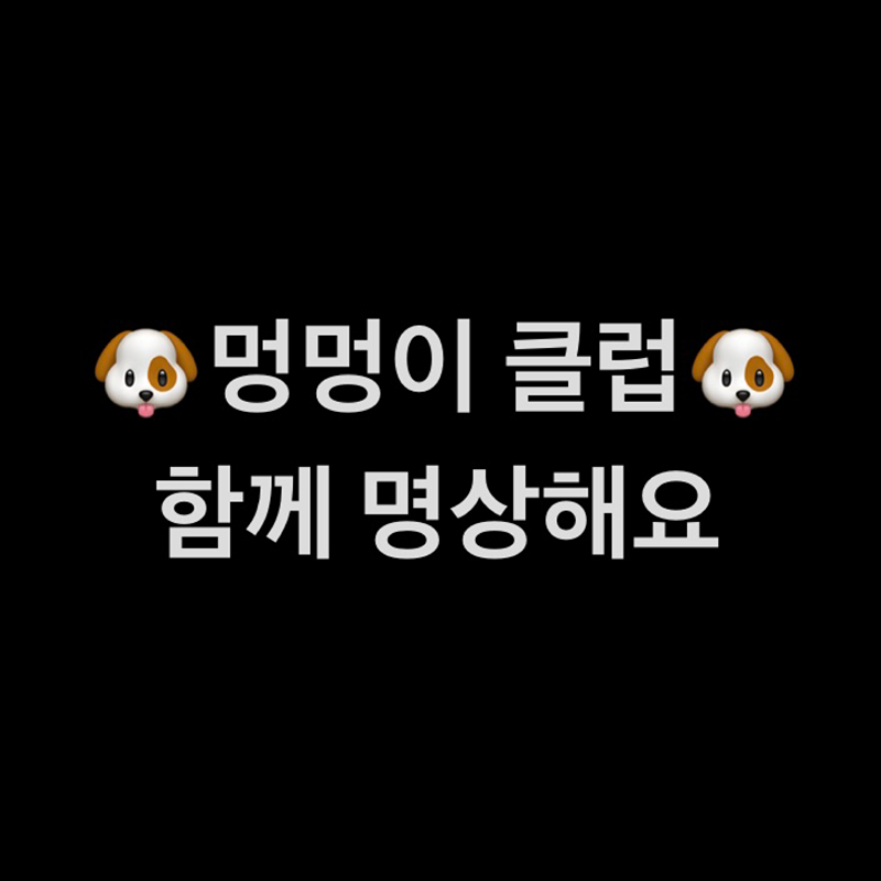 🐶멍멍이 클럽🐶 멍하니 멍때리기 ➡️명상 썸네일