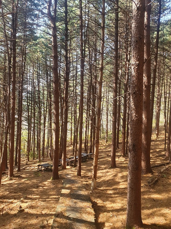 소백힐링 등산모임 ~~~^^ 썸네일