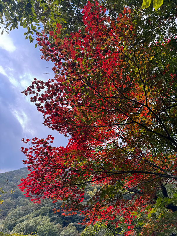 또산 (진주 등산모임) 썸네일