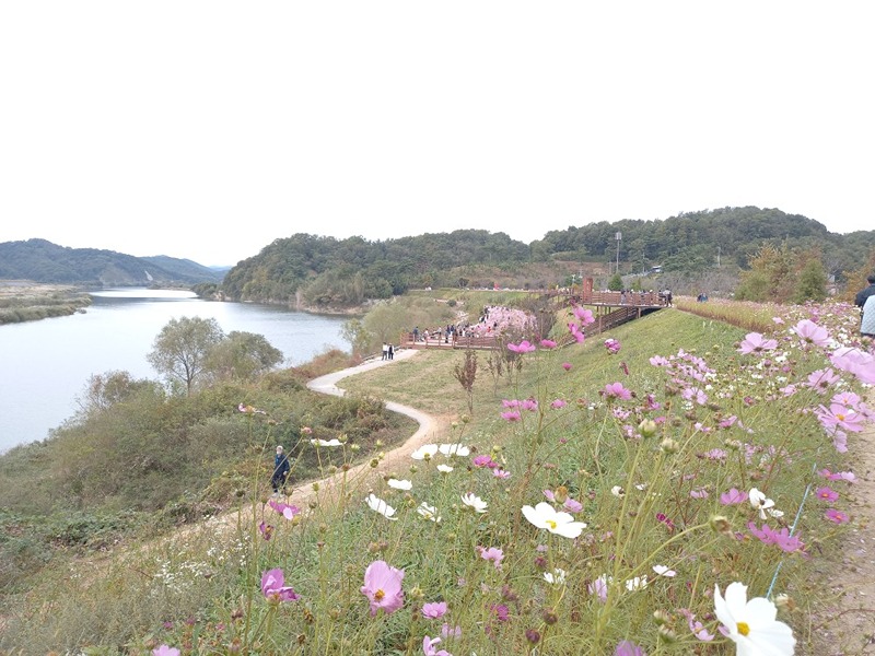 대구.경북고향 여성모임 썸네일