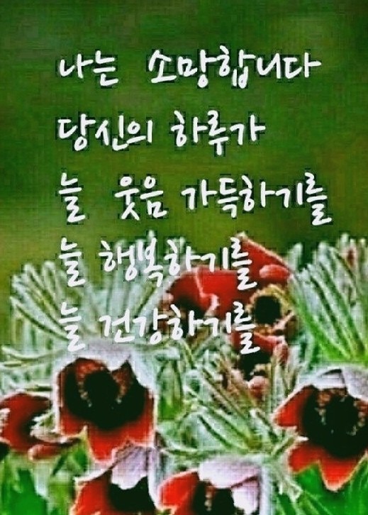 지사또 썸네일