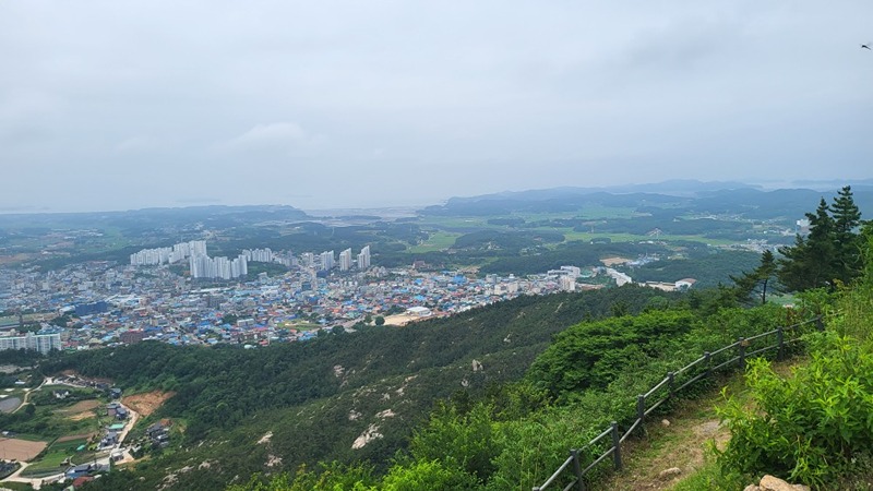  태안 런닝 크루입니자 썸네일