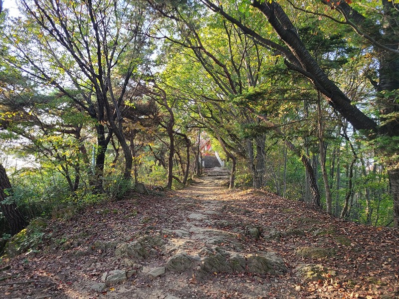 둘레길,산책길 정보공유 썸네일