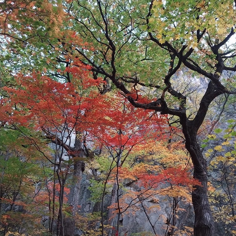 동해3050산책모임 썸네일