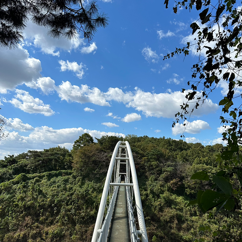 전남 등산 초보모임 썸네일