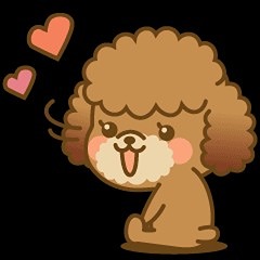 푸사모 썸네일