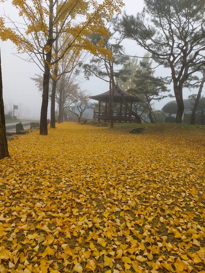 가을..가을  썸네일