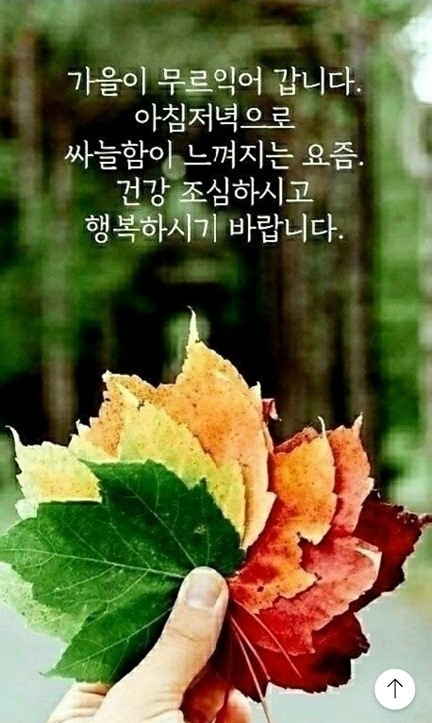 🫡5060돌씽.미혼모.부 동우회,🫰 썸네일